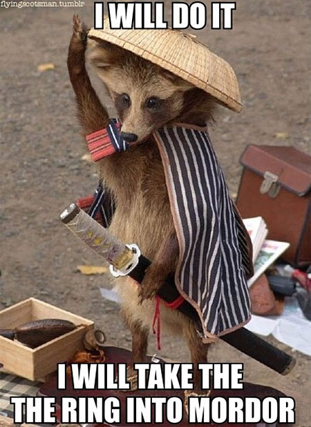 tanuki2b-2bi2bwill2bdo2bit2bi2bwill2btake2bthe2bring2binto2bmordor